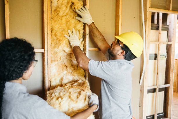 Best Professional Insulation Contractor  in Harker Heights, TX