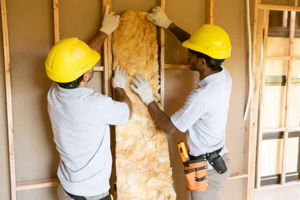 Best Insulation Replacement Services  in Harker Heights, TX
