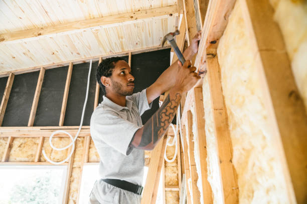 Best Cellulose Insulation  in Harker Heights, TX